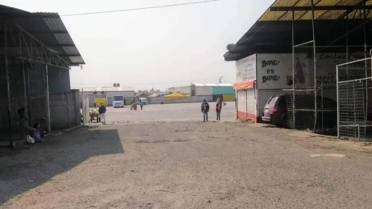 TIANGUIS DE TEXMELUCAN 01 Archivo