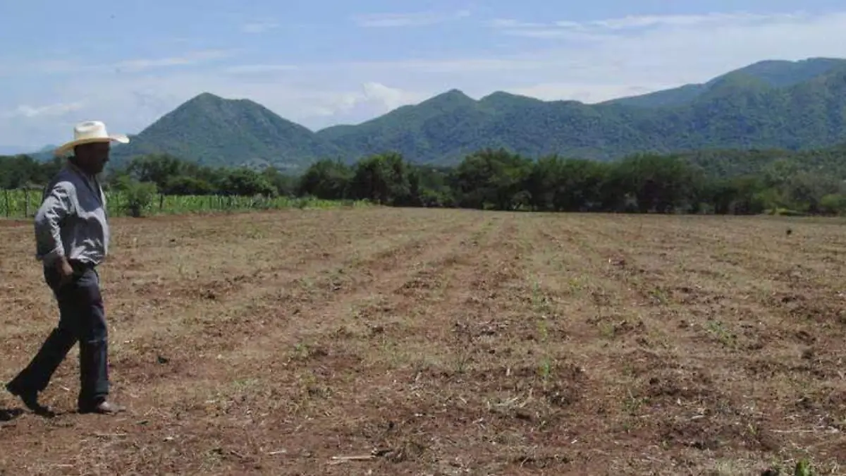 Los productores temen mayores pérdidas este año