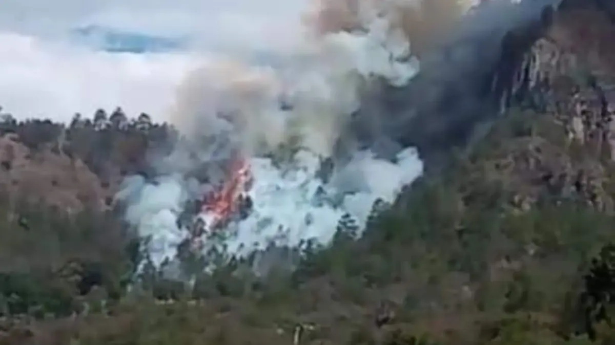 Al menos 20 hectáreas afectadas por incendio en Ixtacamaxtitlán