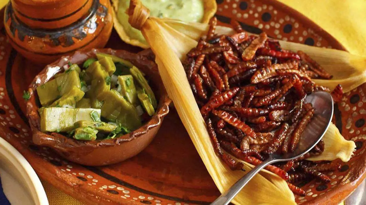 Los insectos para la elaboración de diferentes platillos en Zapotitlán Salinas han ido disminuyendo