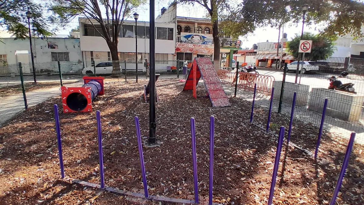 GARZA GARRAPATERA 03 JAJ