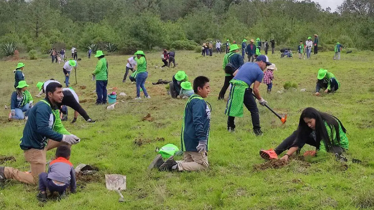 Más de 400 personas acudieron a Santa Catarina Otzolotepec en Tehuacán para unirse en una campaña de reforestación