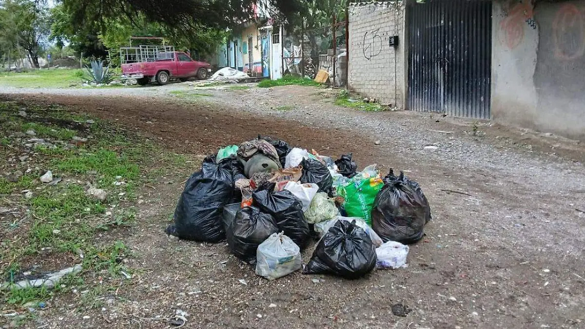 La humedad de las lluvias y la gran cantidad de basura ha generado que en diferentes partes de Tehuacán exista una gran cantidad de moscas