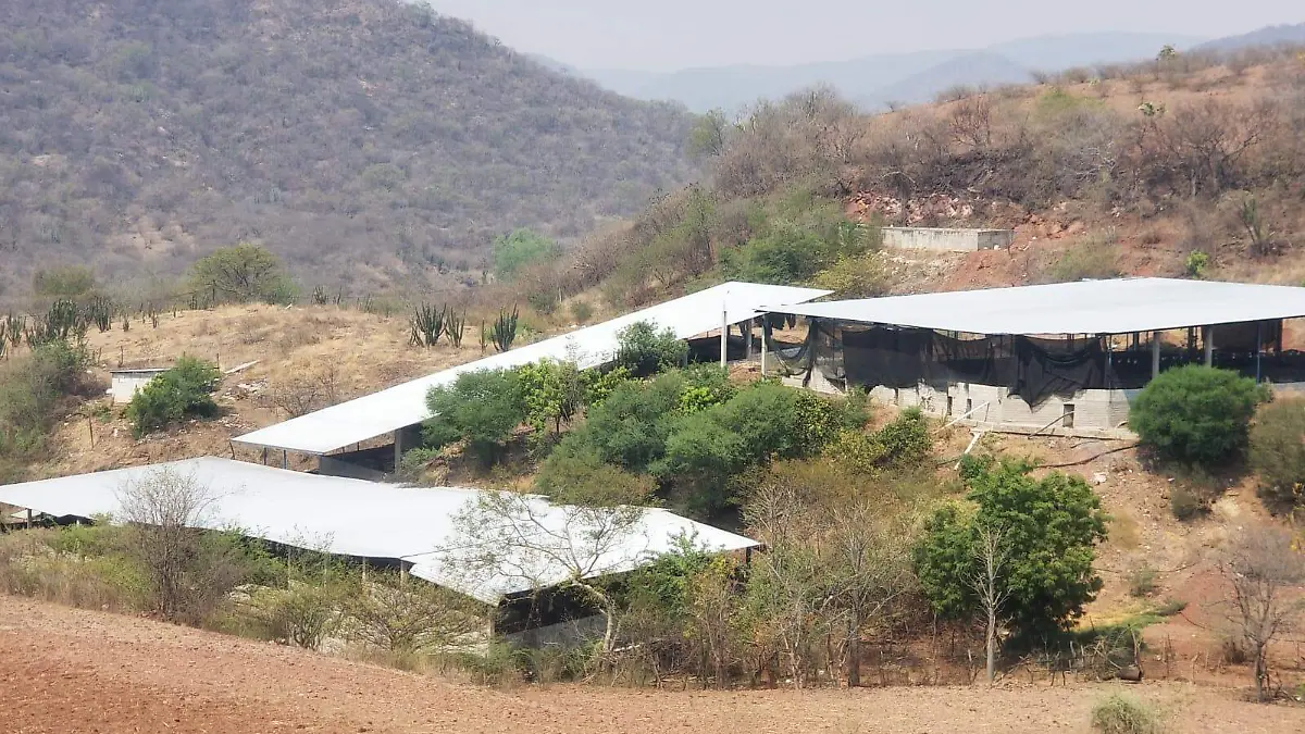 CONTAMINACION TECOMATLAN