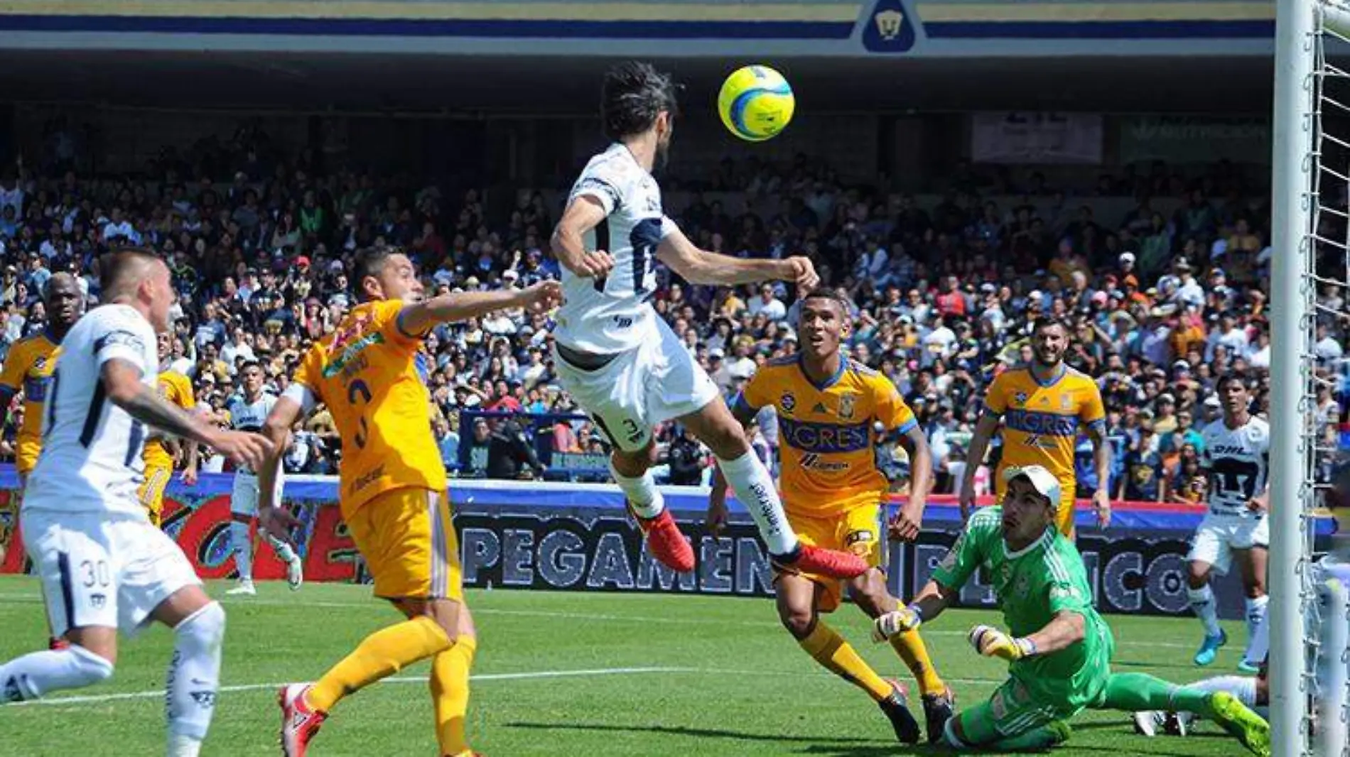 pumas-tigres