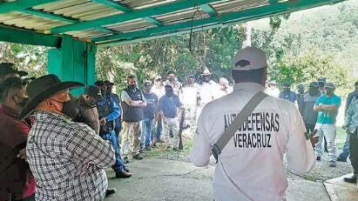 autodefensas