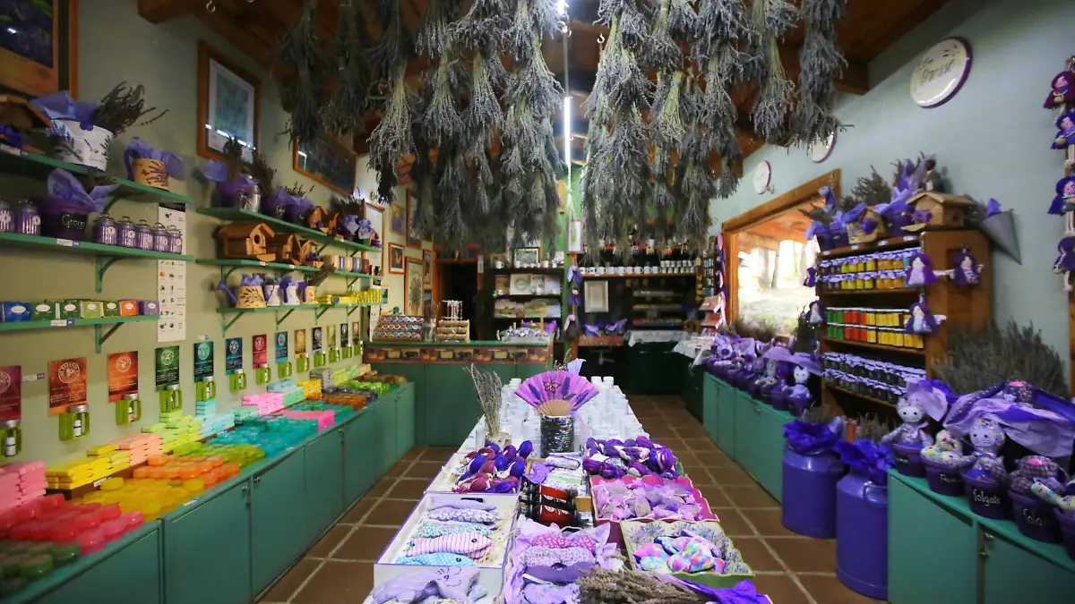 Redefiniendo la lavanda, de planta ornamental a aliada en la cocina y la salud