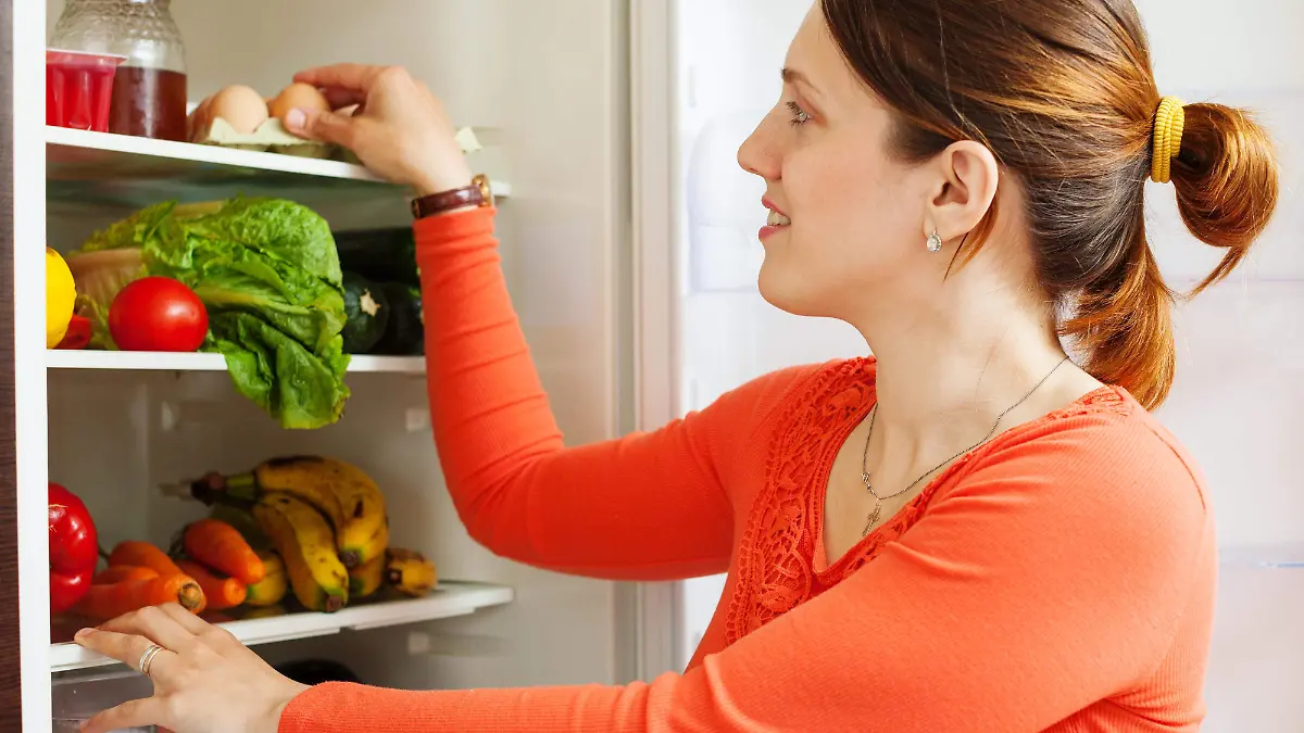 No todos los alimentos se guardan en el refrigerador