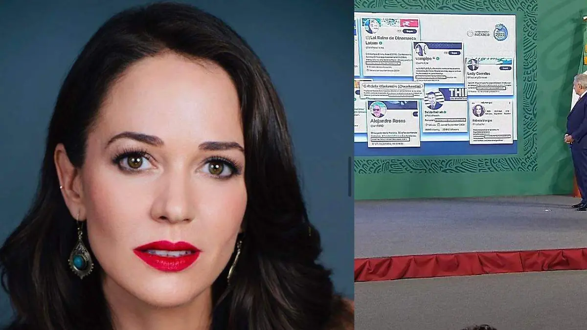 Laisha Wilkins compartió el fragmento de la mañanera donde es señalada por Elizabeth García Vilchis
