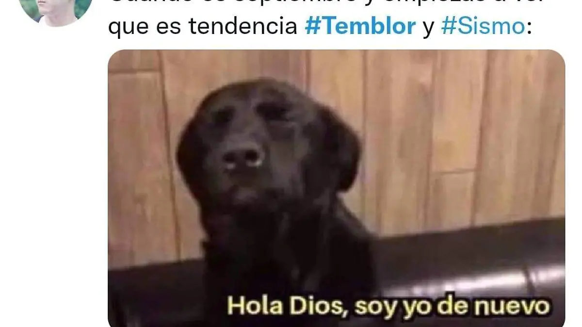 Image 2021-09-07 at 22.17.41