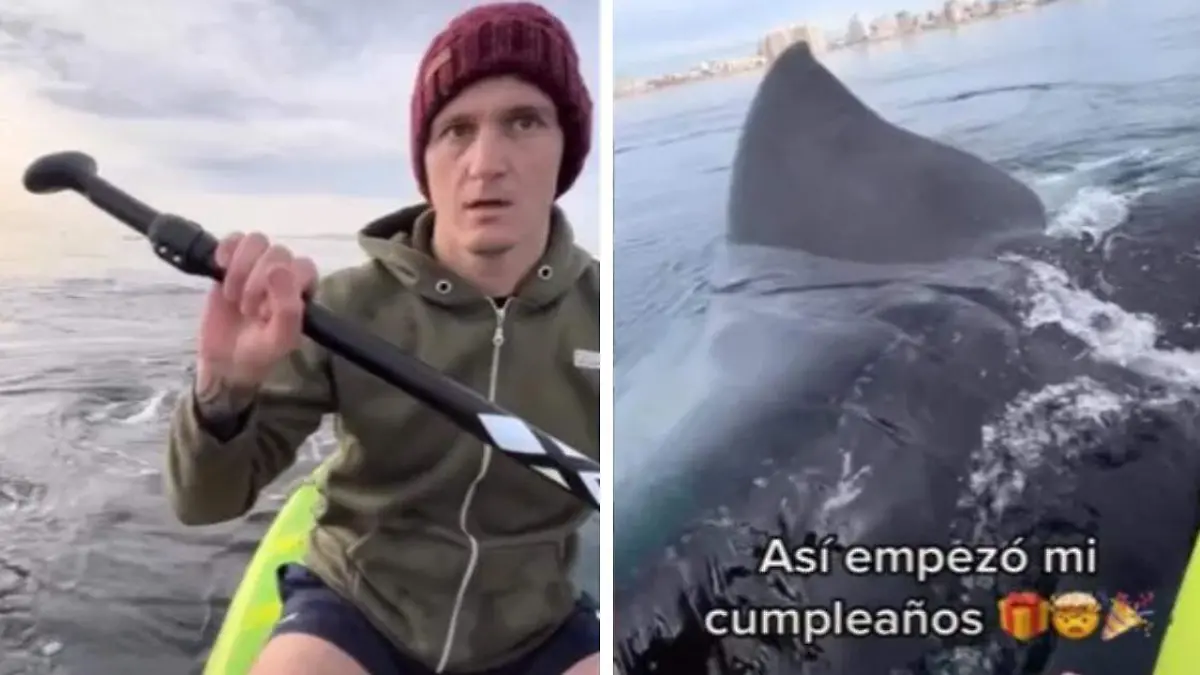 Dos jóvenes paseaban en kayak cuando fueron rodeados por grupo de ballenas