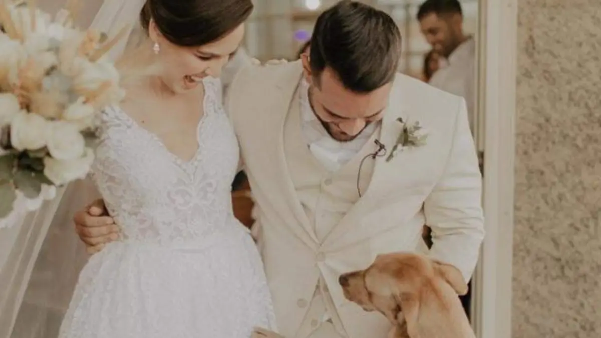 Perrita callejera invade boda y recién casados la terminan adoptando