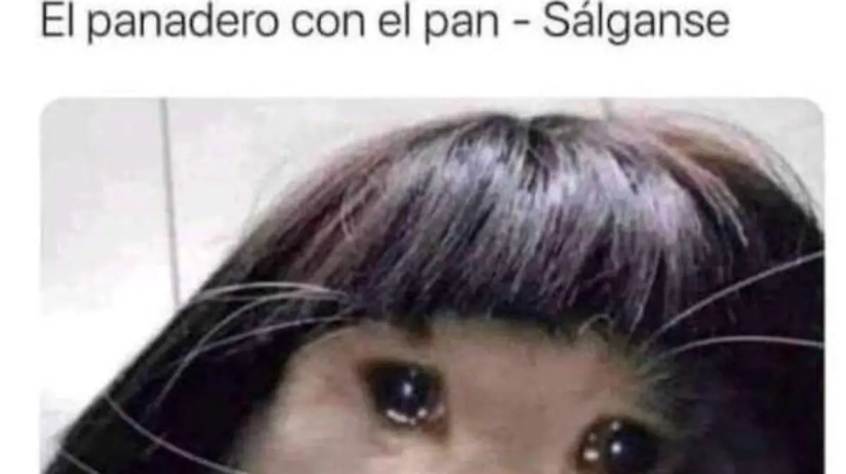 Image 2021-09-07 at 22.17.41 (3)