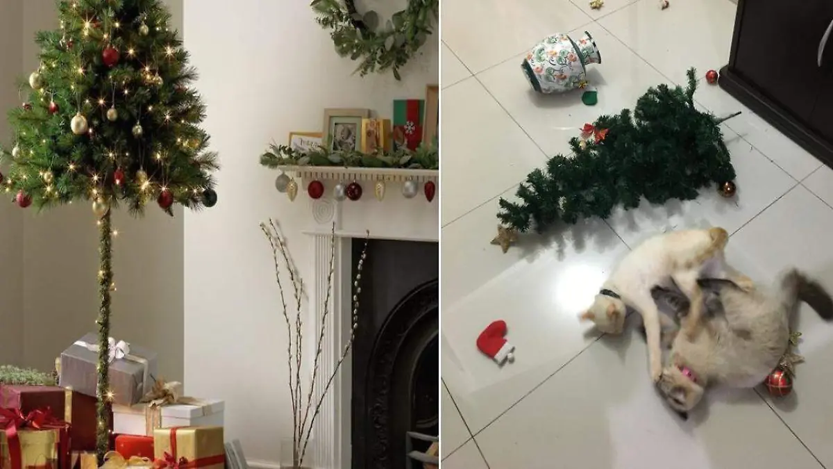 Formas ingeniosas de poner tu árbol de navidad anti mascotas