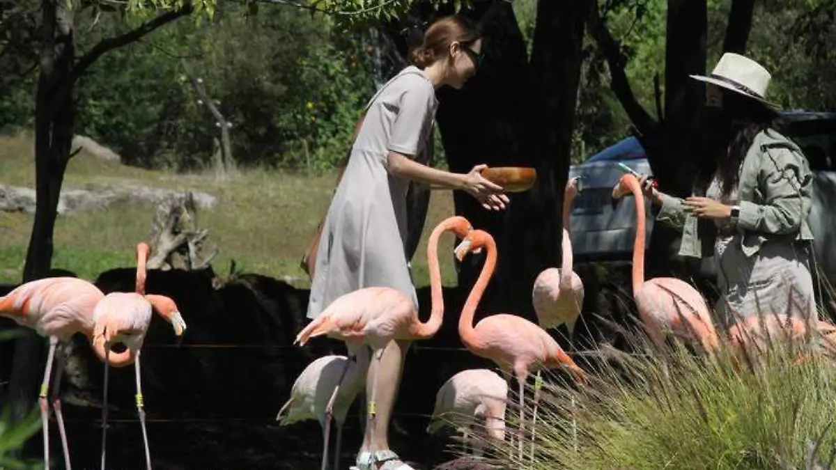 Se debe tener experencia