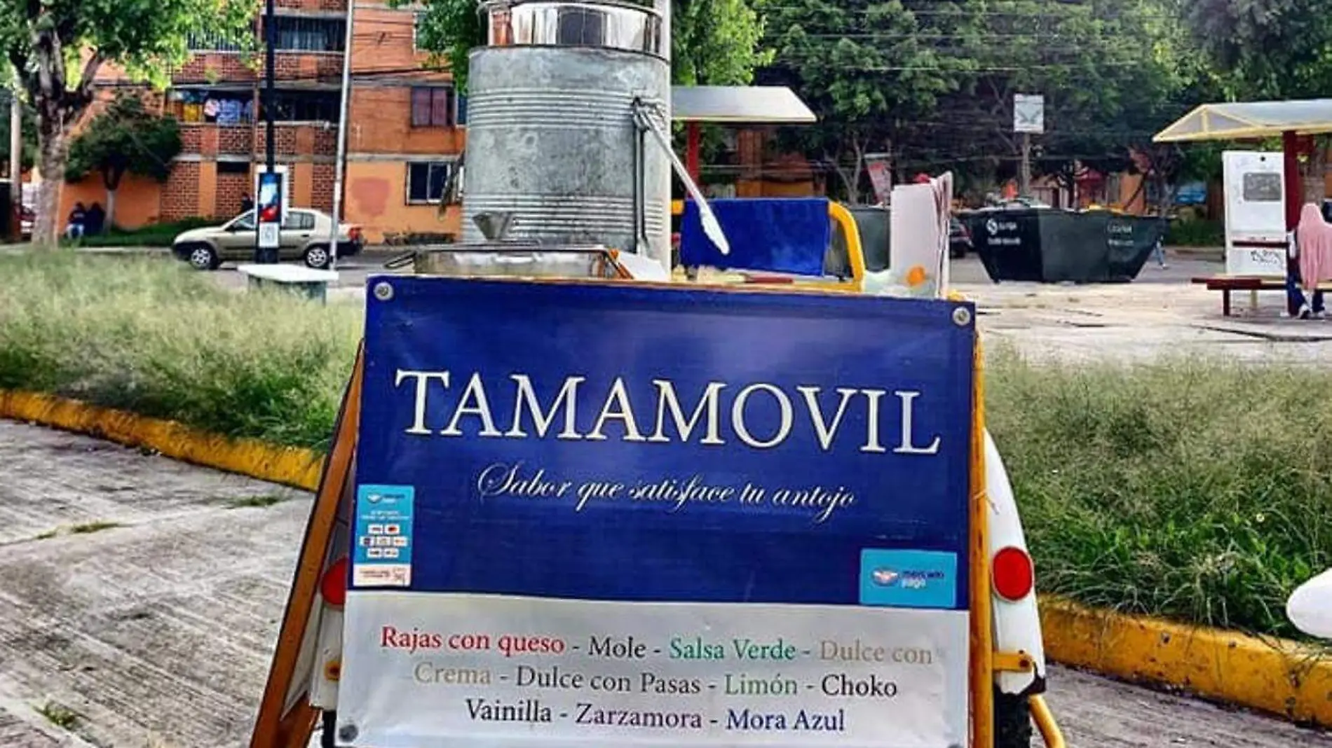 Tamamovil