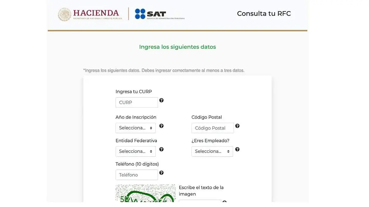 Presionar la opción “Ejecutar en línea”, donde te pedirá que ingreses tu CURP y otros datos más