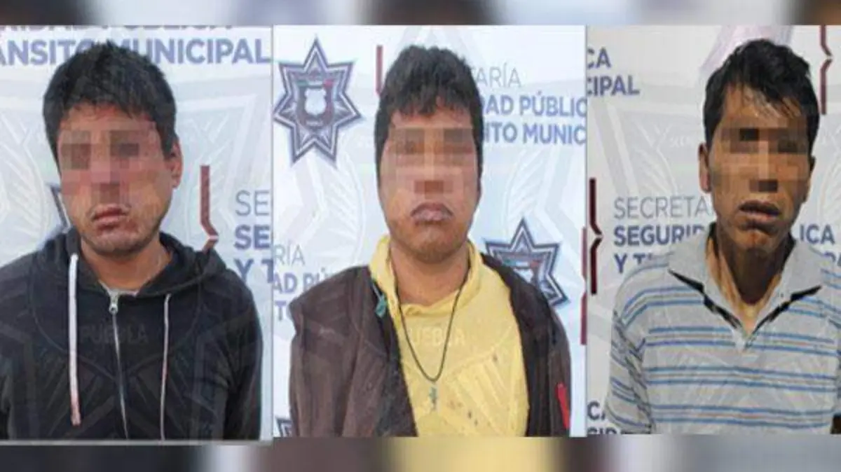 detenidos robo transporte