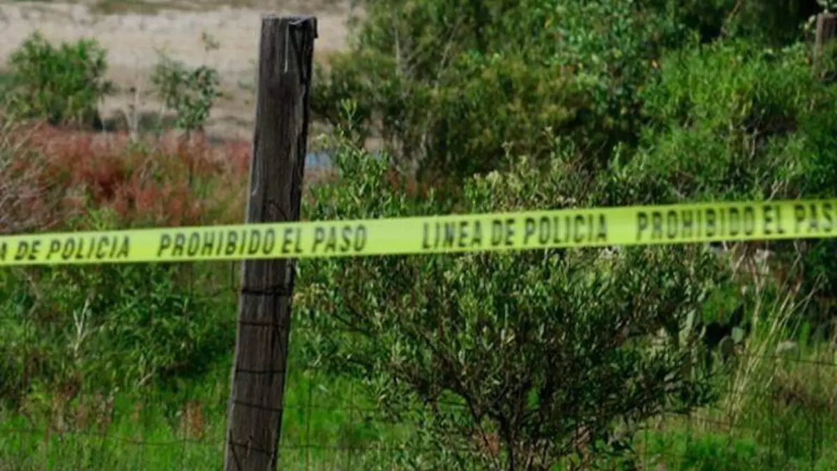 Muerto en palmar de bravo