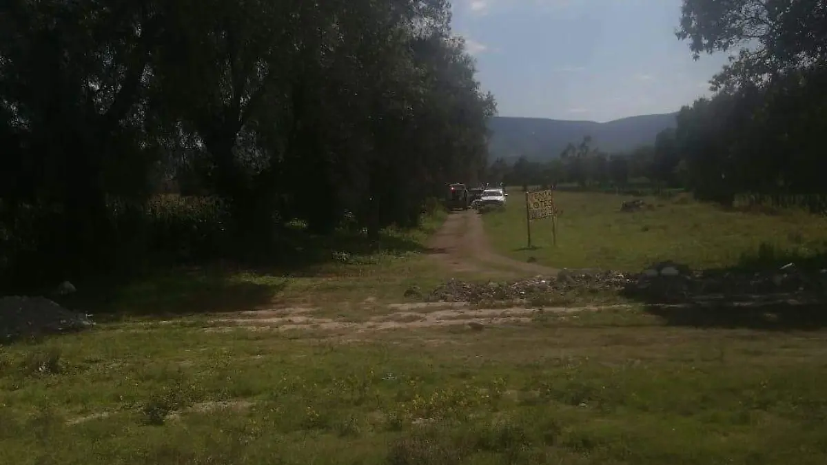 mujer envenenamiento palmar de bravo