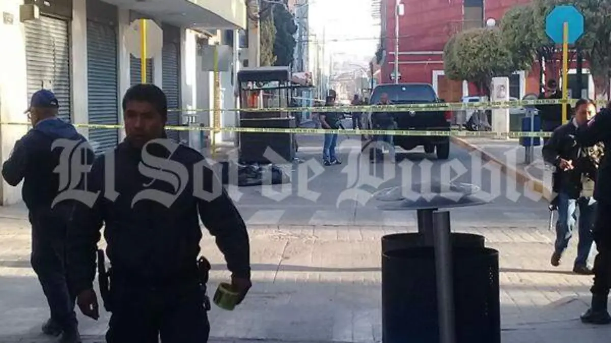 bolsas