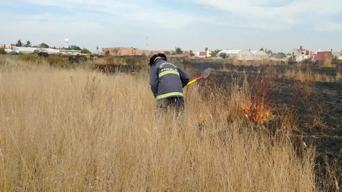 Tan solo en el mes pasado, diciembre, se registraron 122 incendios de pastizales