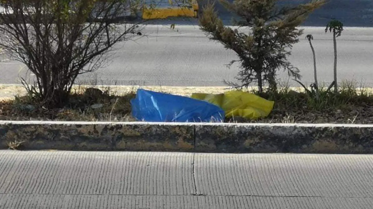 bolsas de basura