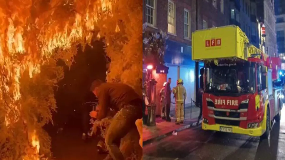 Árbol de navidad se incendia con una bengala en un restaurante y provoca fuerte incendio +