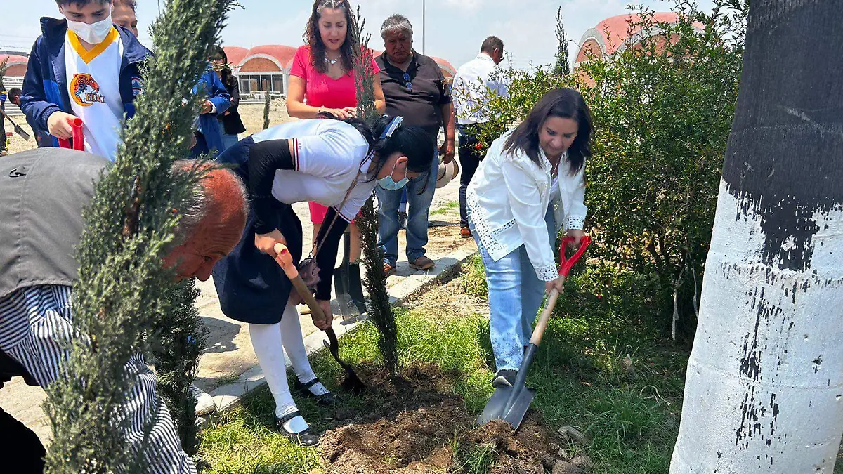 b99d9acc-135e-47a3-8f5f-7b71a2040380