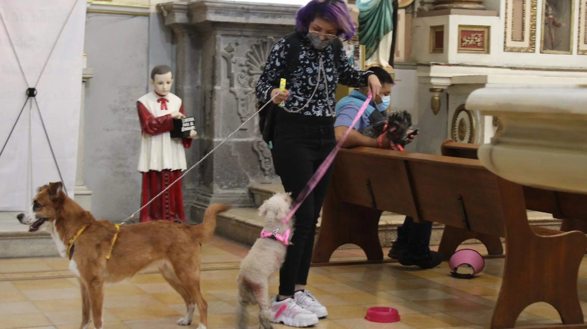 Con la bendición de sus mascotas, devotos poblanos celebran a San Antonio Abad 