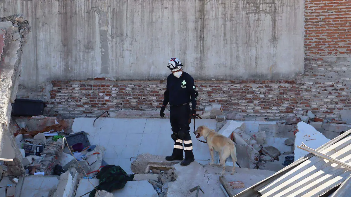 Escuadrón de rescate canino que labora en operativo de la colonia Amor