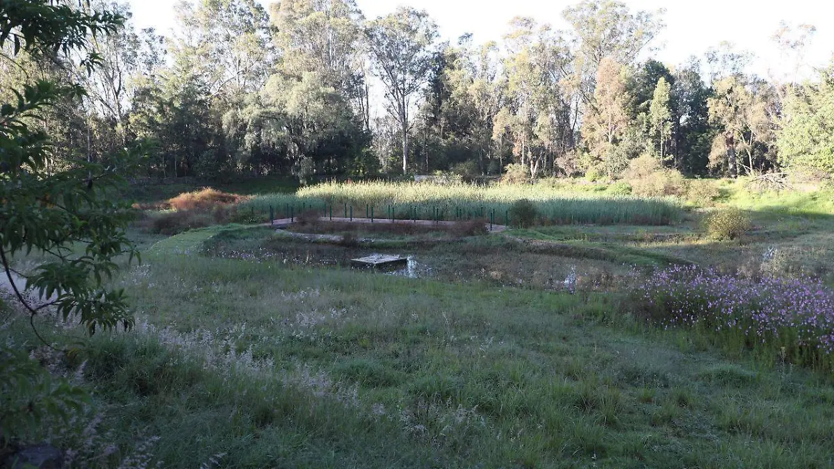 parque del ajolote en santa marìa xonacatepec