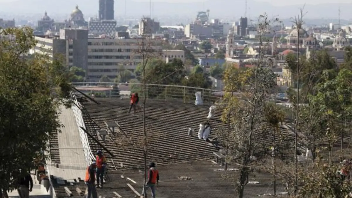 Mantarraya mirador - los fuertes