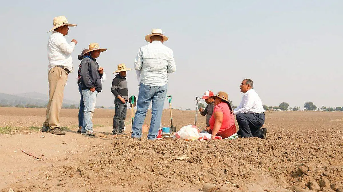 Merino Lara Grajales