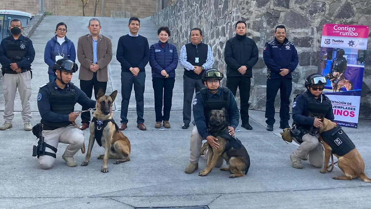 88a9044d-cf1e-46d2-b455-423faecb1f9d