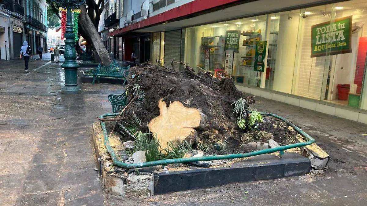 lluvia mata a niño en Puebla 1