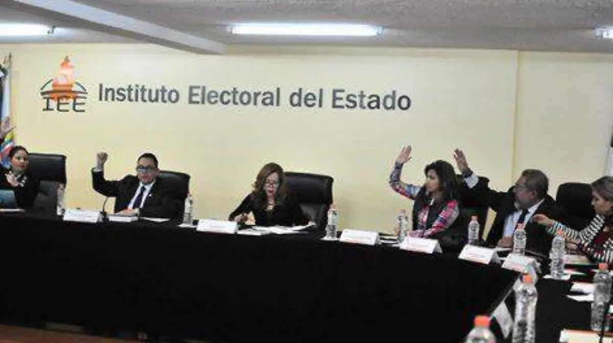 Consejo-general-iee-471x314