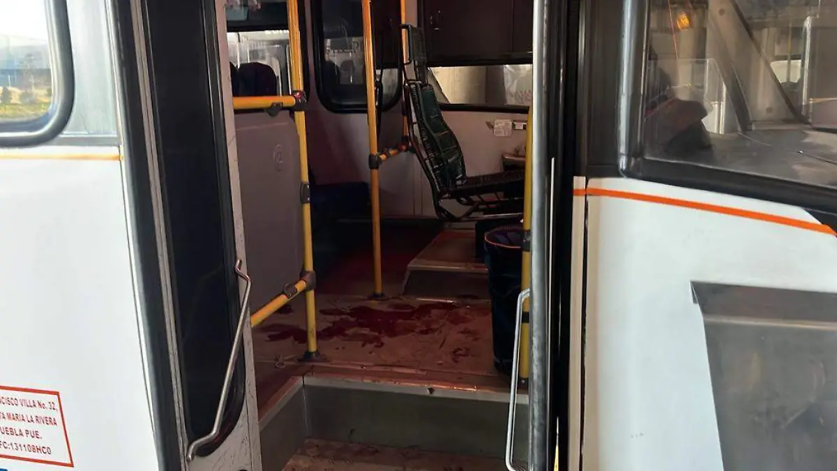 Conductor de transporte pública de Amozoc es baleado