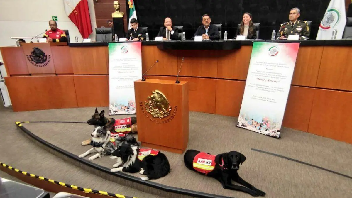 caninos
