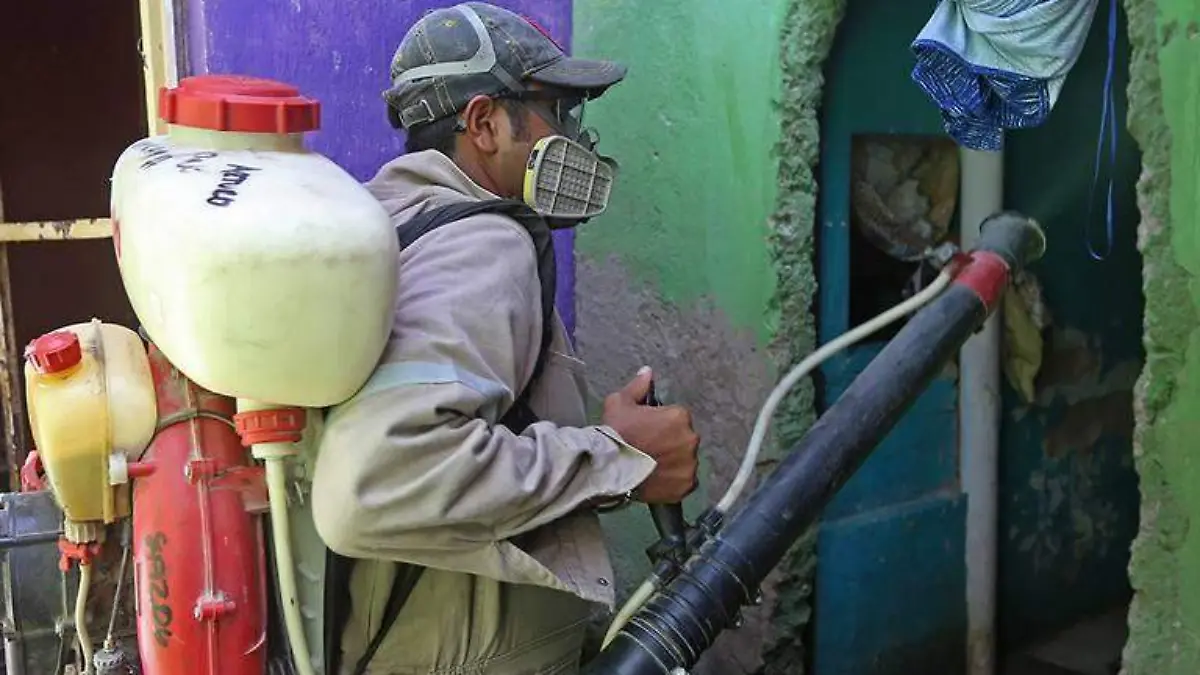 Dengue-Puebla-Mexico-Salud