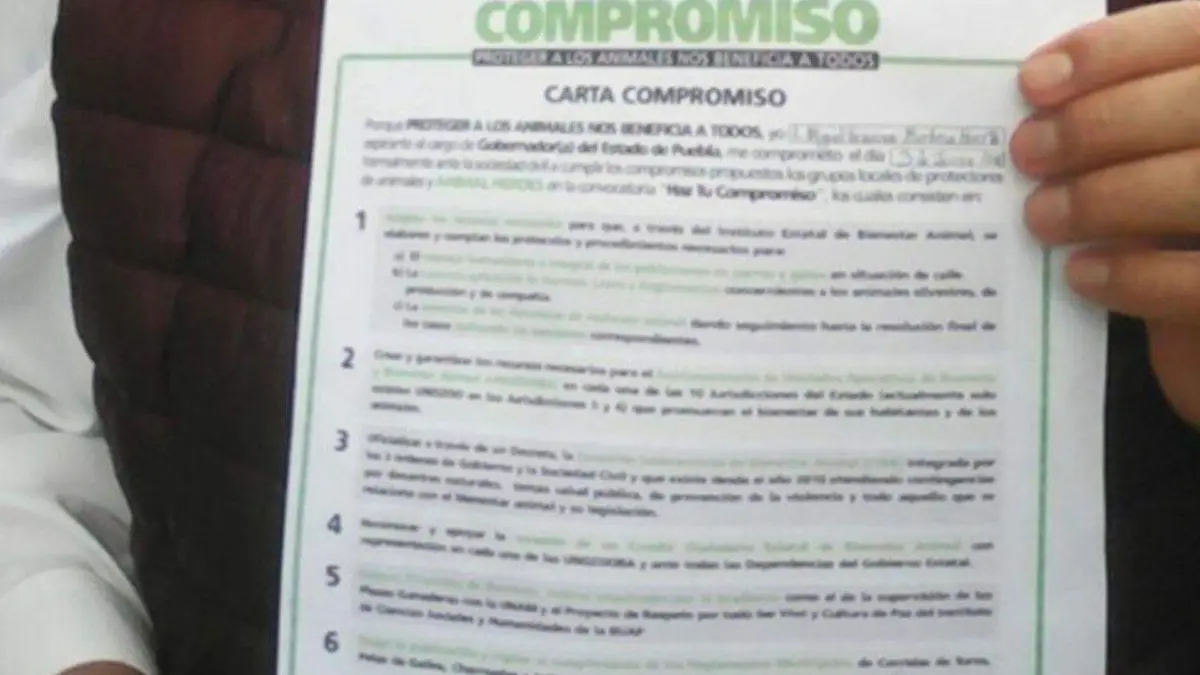 foto toros
