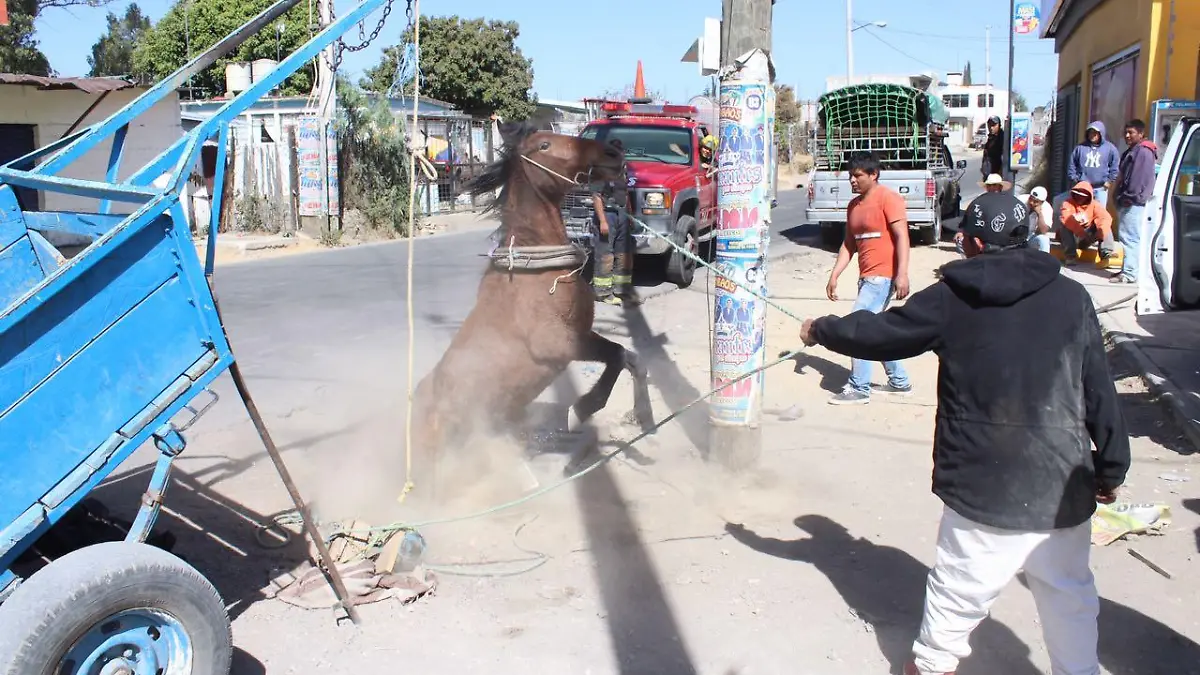 WhatsApp Image 2017-02-09 at 11.08