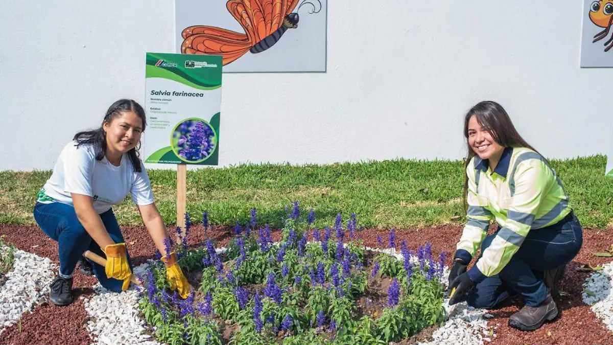 Jóvenes transforman la vida de ecosistemas en México 