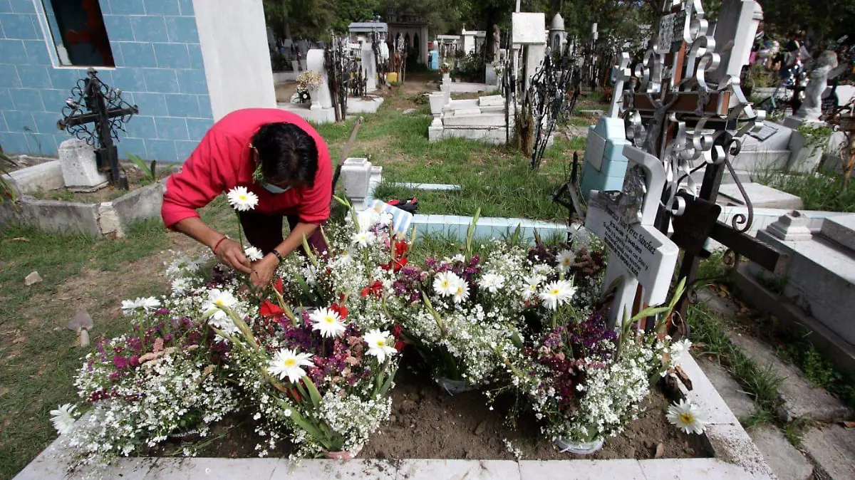 WhatsApp Image 2022-06-19 at 12.05.10 PM (2)