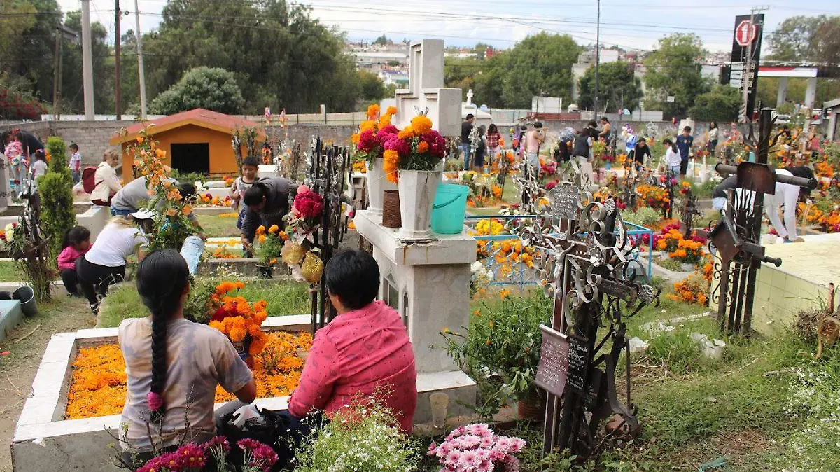 flores
