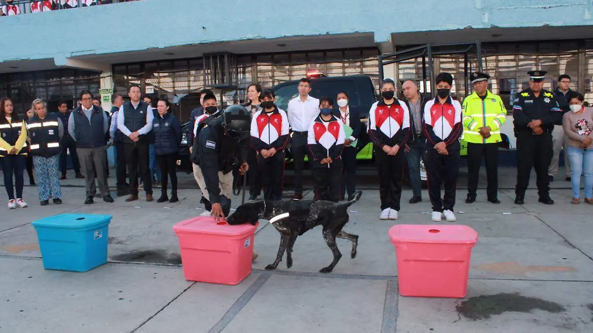 fda54101-4cc7-4f7b-a1c3-4ade9c791430