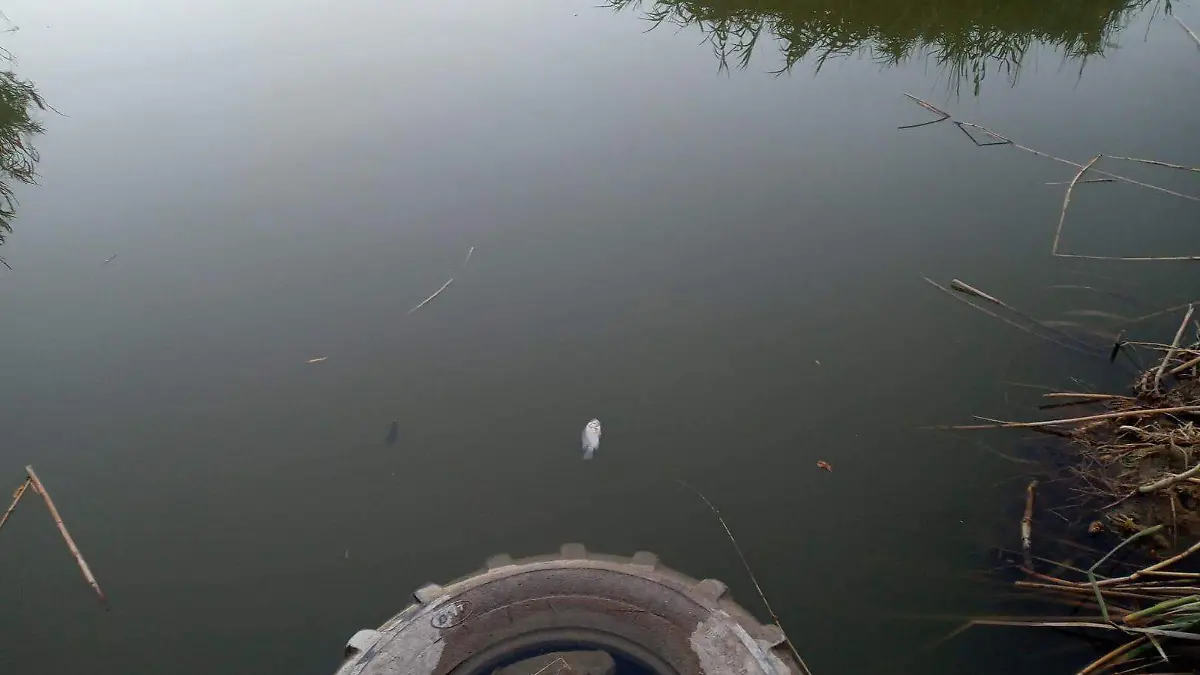 Los establecimientos están abiertos