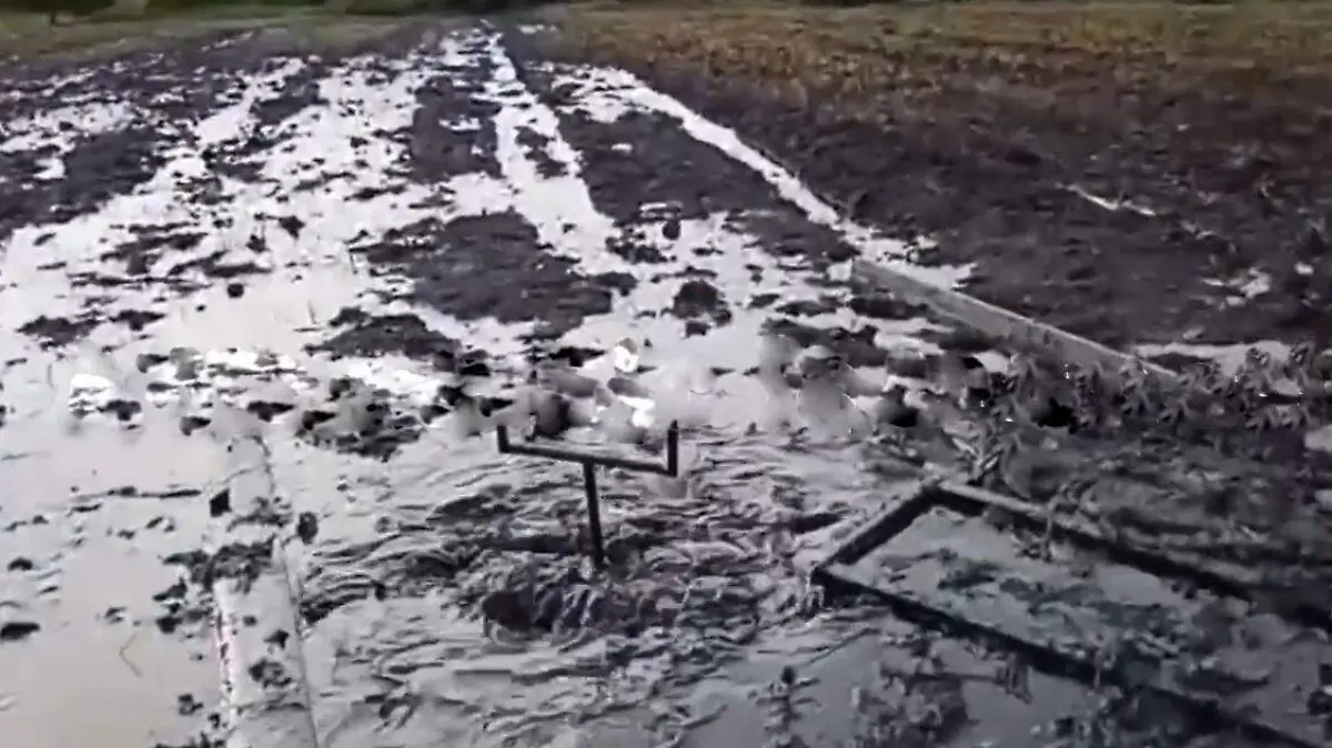 WhatsApp Image 2021-07-30 at 18.37.53