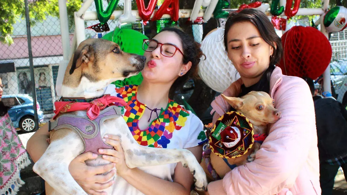 Perrhijos, el fenómeno de humanizar a las mascotas que puede afectarlos