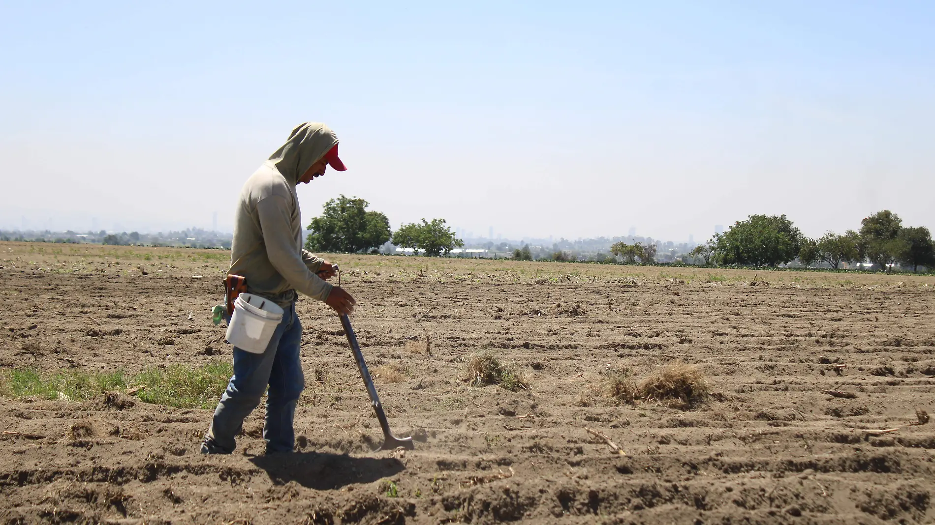 Entonces el calor influye en el desarrollo de los cultivos y al final de cuentas, afecta en rendimientos y producción